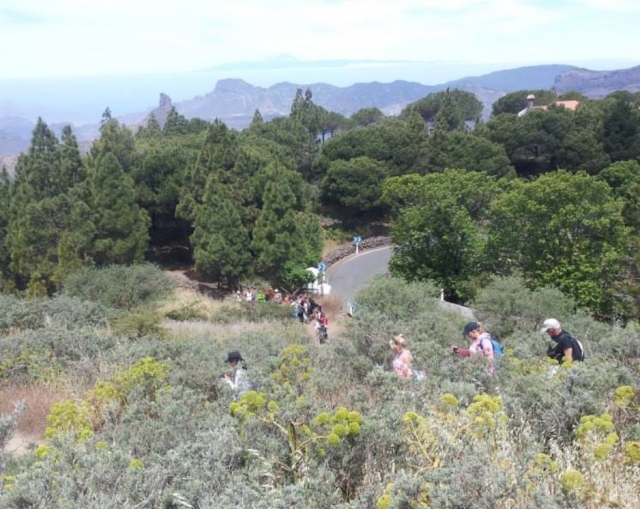  En bordure de route 